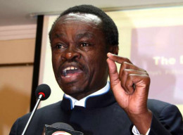 PLO Lumumba